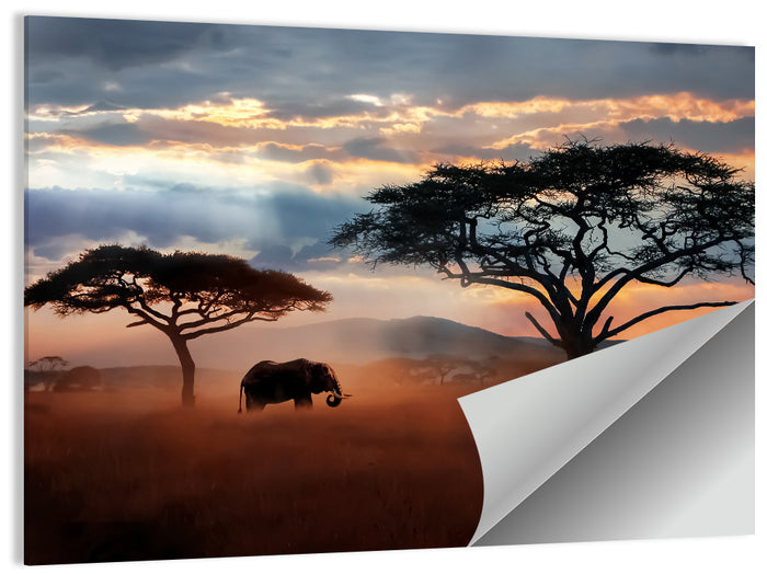 Savanna Elephant at Sunset Wall Art as a poster print