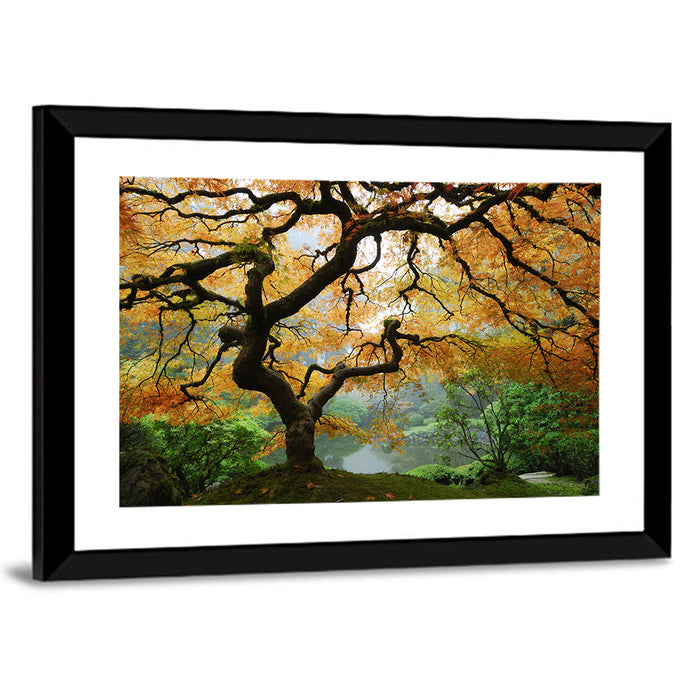Japanese Autumn Maple Wall Art as a framed print