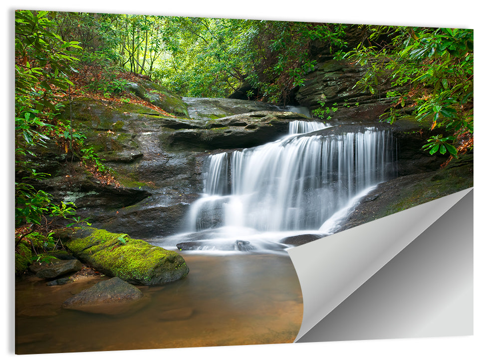 Blue Ridge Mossy Waterfall Wall Art