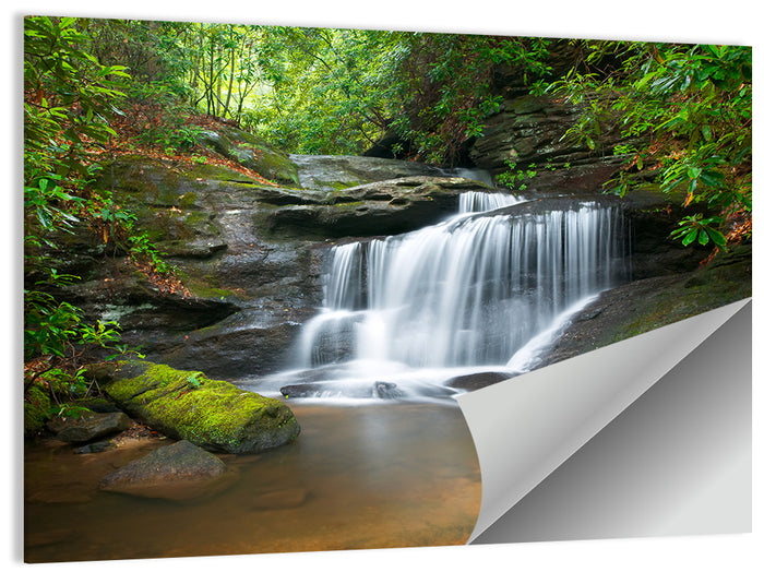 Blue Ridge Mossy Waterfall Wall Art as a poster print