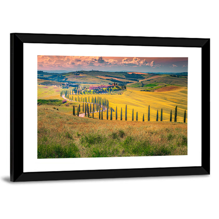 Val D'orcia Cypress Road Wall Art as a framed print