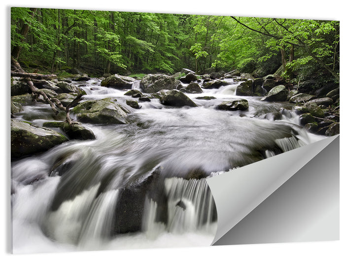 Smoky Mountains Cascading Stream Wall Art as a poster print