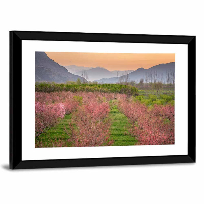 Swat Valley Spring Orchard Wall Art as a framed print