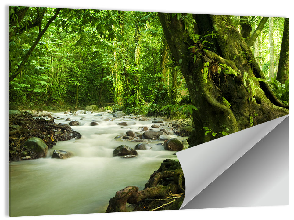 Emerald Rainforest River Wall Art