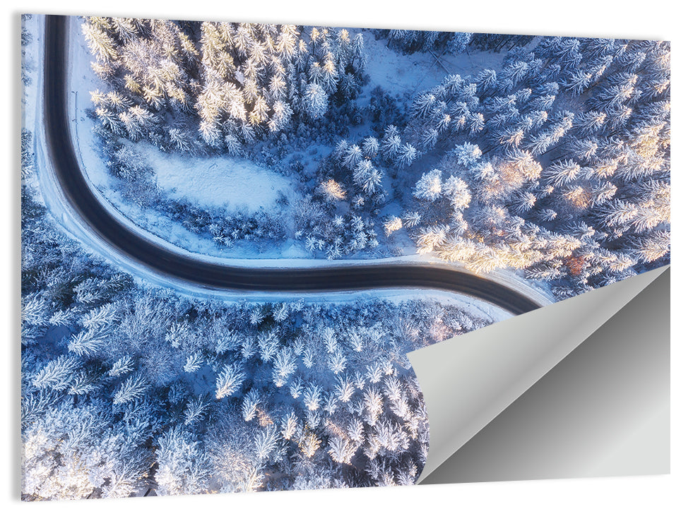 Snowy Forest Road at Golden Hour Wall Art