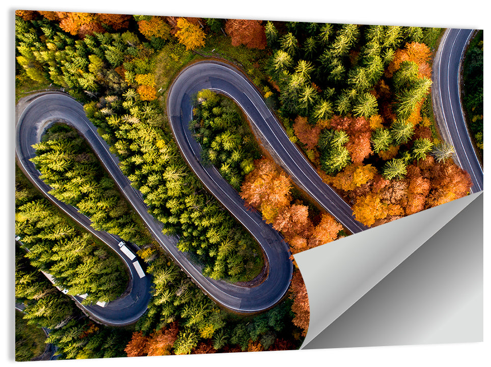 Autumn Aerial Mountain Road Wall Art