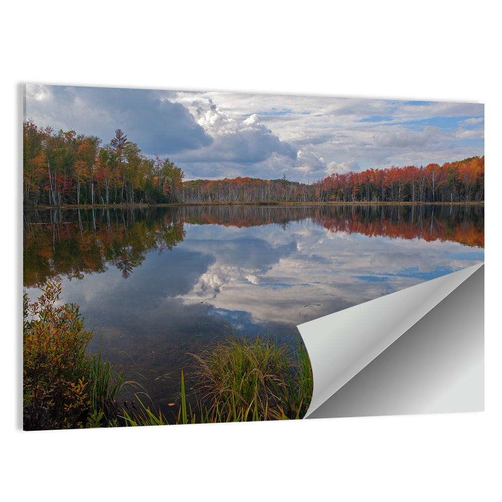 Scout Lake Autumn Reflection Wall Art
