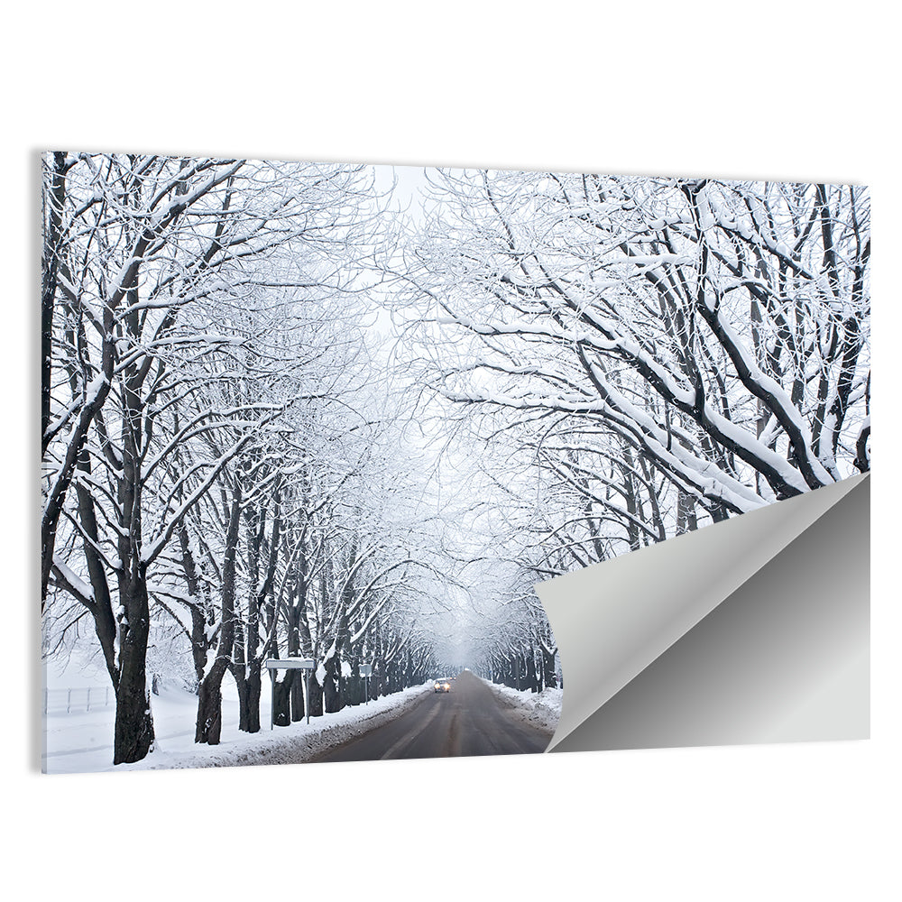 Snowy Road with Distant Headlights Wall Art