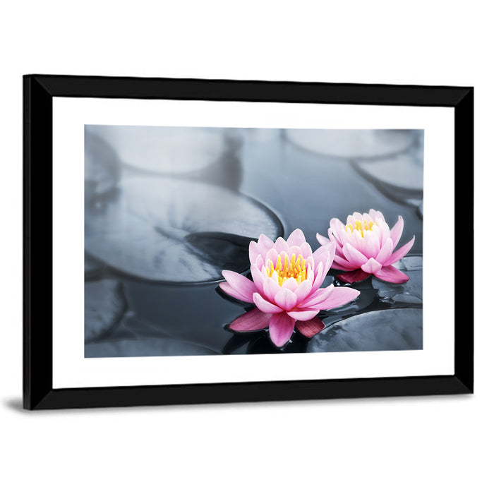 Pink Water Lilies Wall Art as a framed print