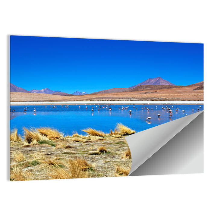Laguna Flamingo Lake Wall Art as a poster print
