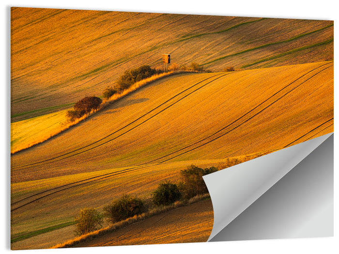 Golden Moravian Farm Tracks Wall Art as a poster print