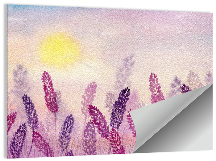 Sunlit Lavender Field Wall Art as a poster print