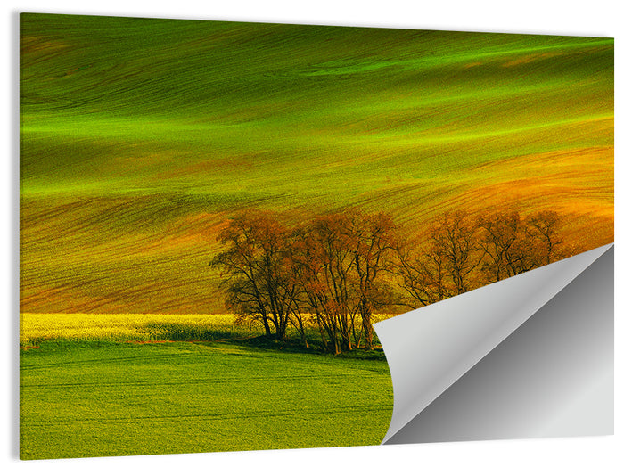 Moravian Wheat Fields with Chapel Wall Art as a poster print