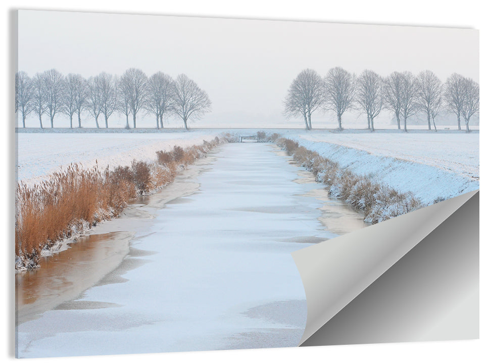 Frozen Canal with Bare Trees Wall Art