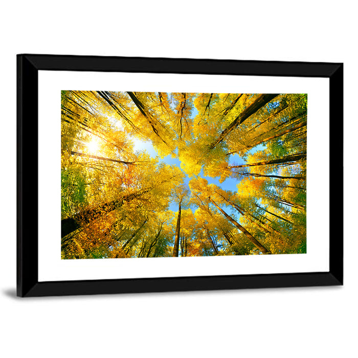 Golden Autumn Canopy Wall Art as a framed print