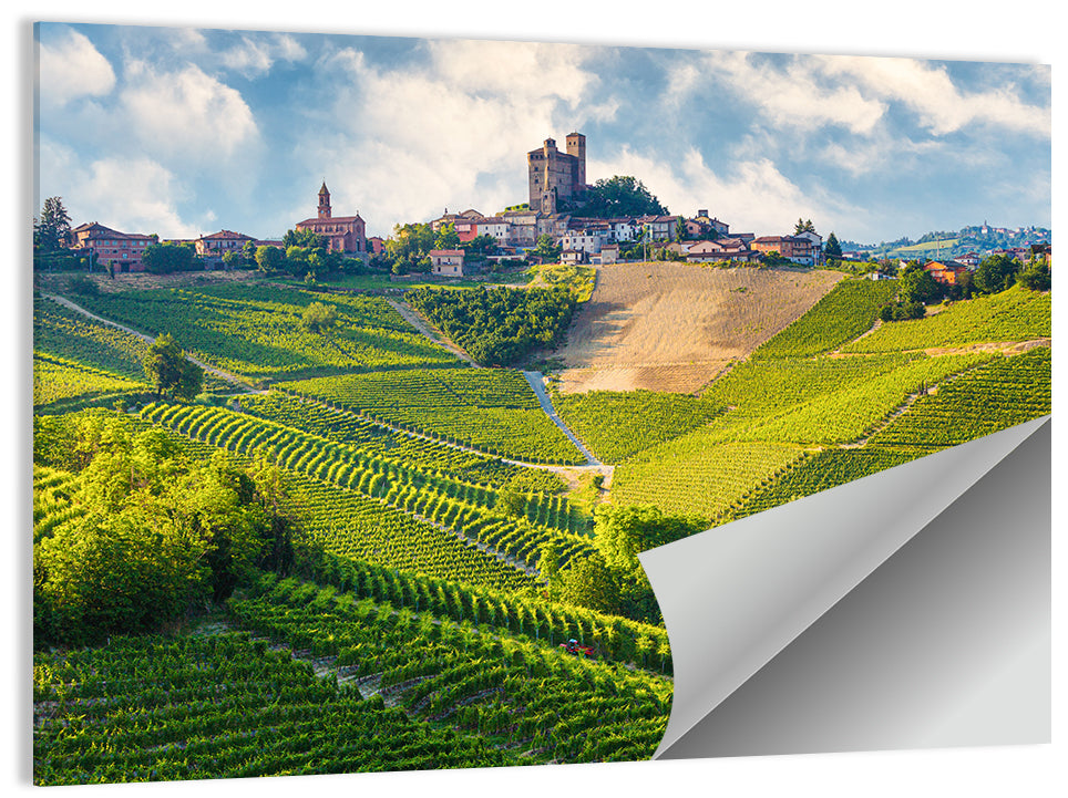 Grinzane Cavour Vineyards Wall Art