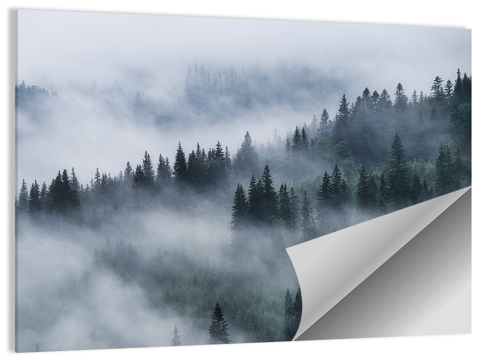 Misty Mountain Pine Forest Wall Art, poster print, landscape