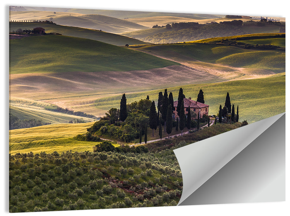 Val D'orcia Meadow Hills Wall Art