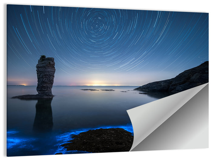 Fluorescent Sea Reef Wall Art as a poster print