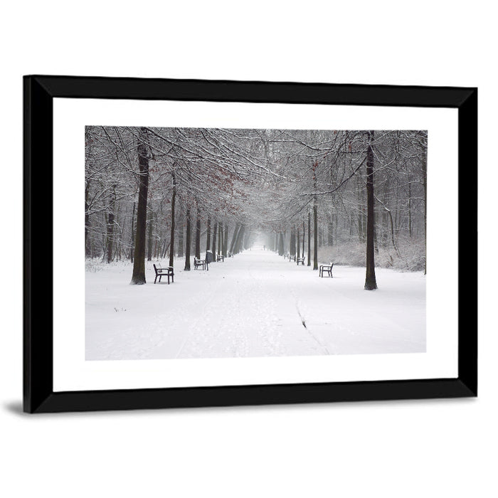 Snow Covered Park Lane Wall Art as a framed print