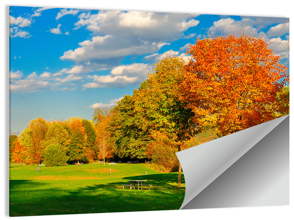 Autumn Trees and Lakeside Lawn Wall Art