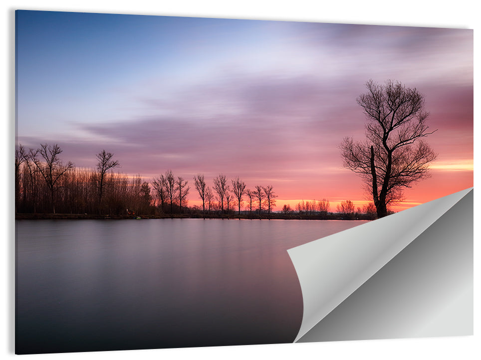 Solitary Island Tree at Sunset Wall Art