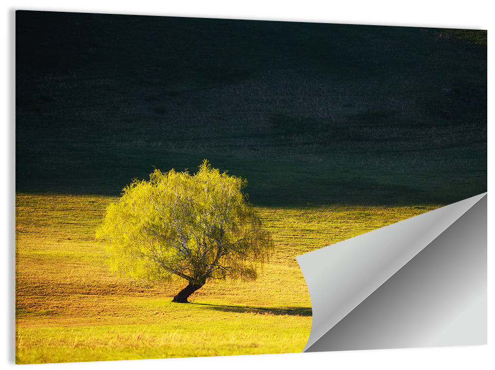 Lone Tree in Golden Meadow Wall Art
