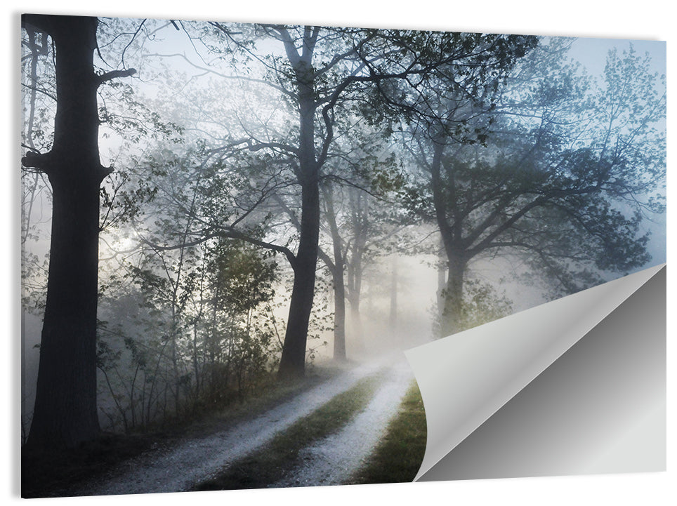Foggy Forest Path Wall Art