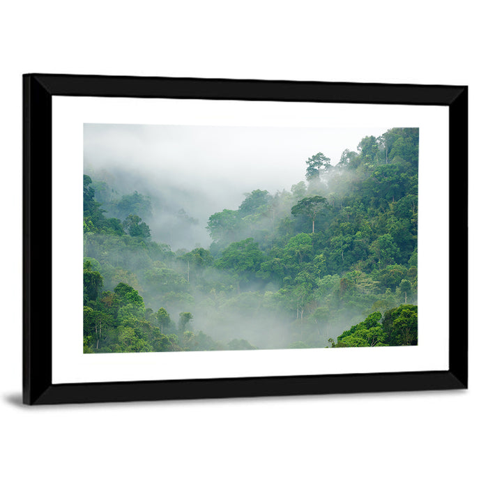 Misty Rainforest Morning Wall Art as a framed print