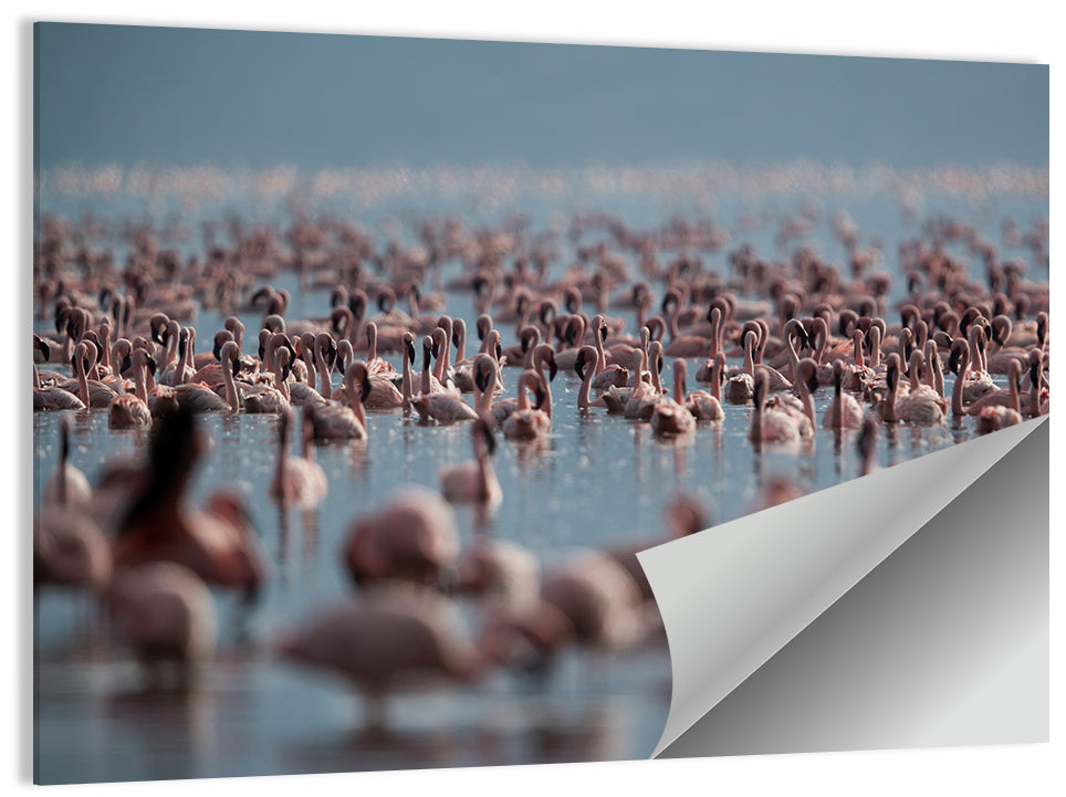 Flamingos at Lake Bagoria Wall Art