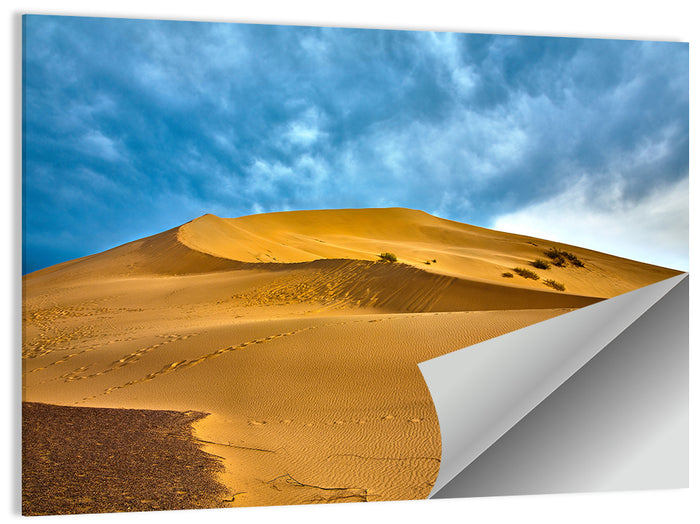 Altyn Emel Sand Dunes Wall Art as a poster print