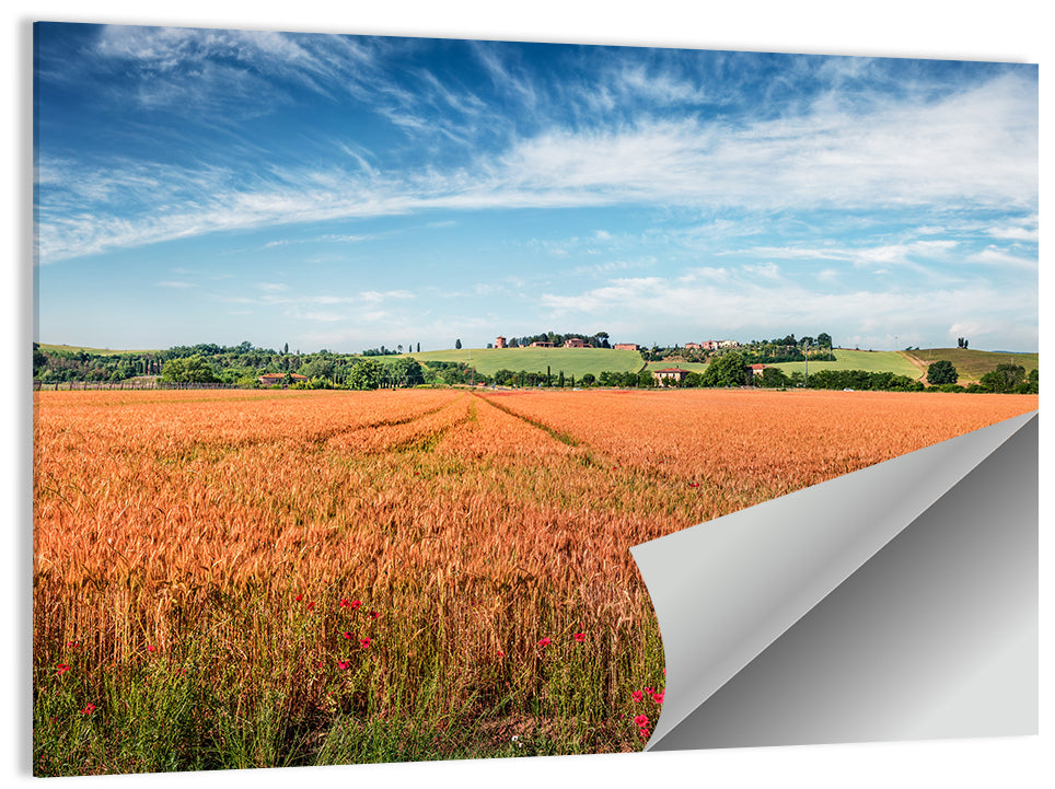 Golden Wheat Field with Poppies Wall Art