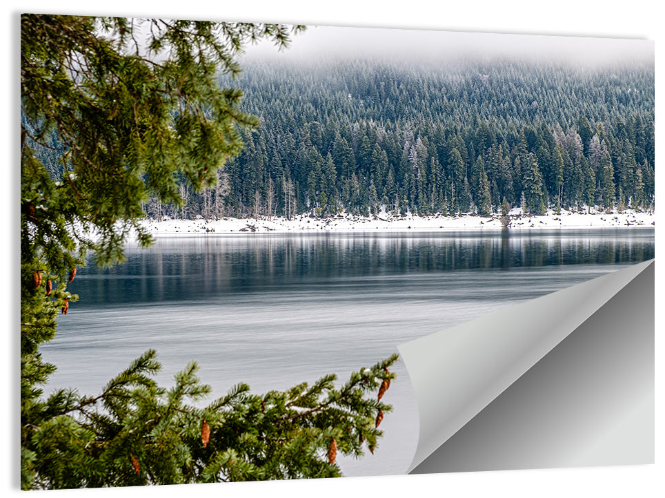Lake Kachess Foggy Shore Wall Art