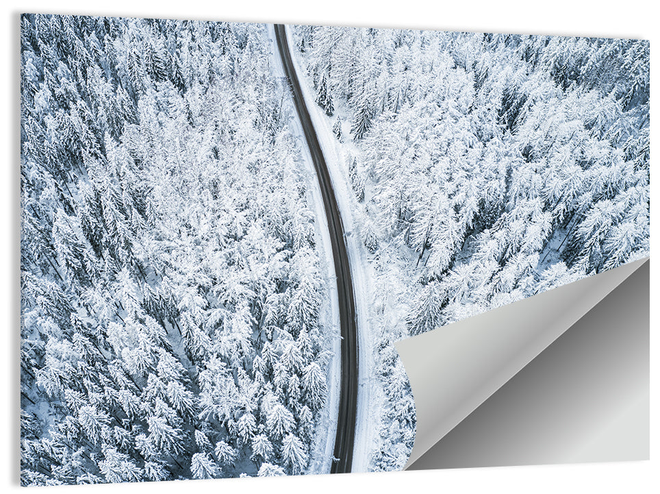 Winding Snow-covered Forest Road Wall Art