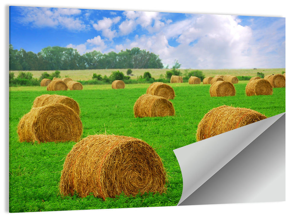 Golden Hay Bales in Green Field Wall Art