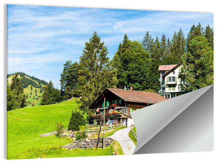 Wengen Alpine Chalet Path Wall Art as a poster print