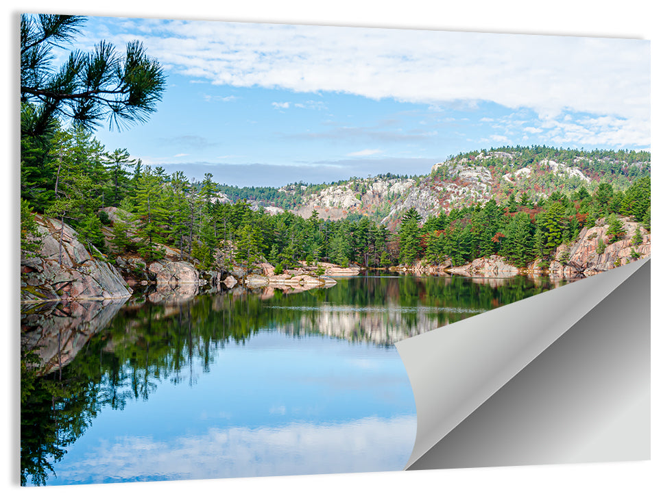 Mirror-quiet Lake and Pines Wall Art