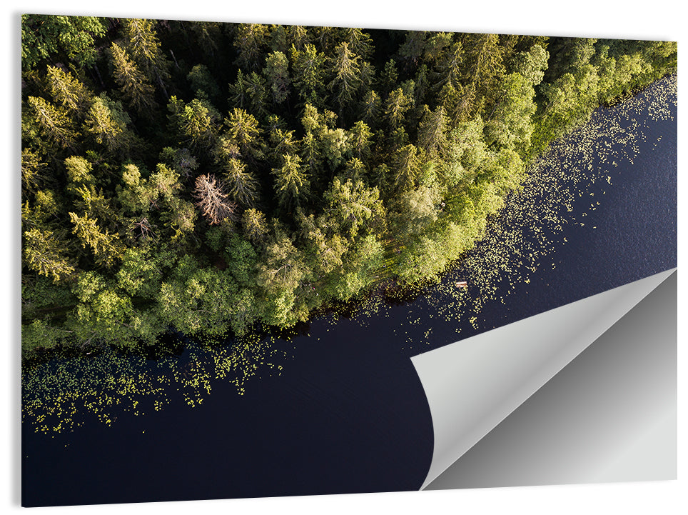 Aerial Lake with Red Boat Wall Art