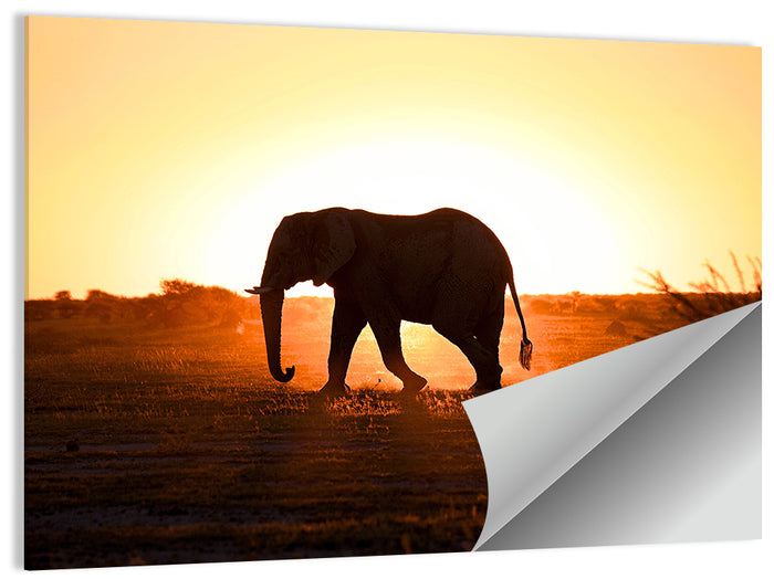 Golden Hour Elephant Silhouette Wall Art as a poster print