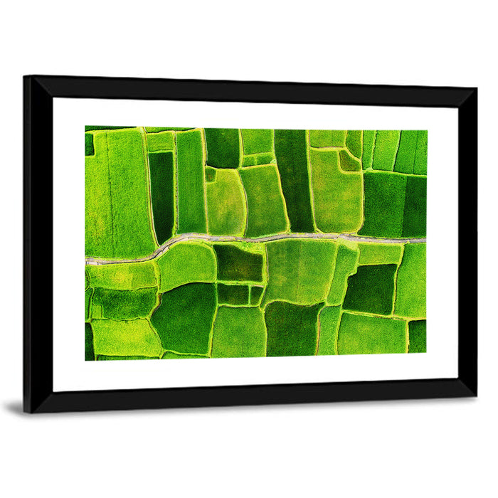 Verdant Rice Terrace Grid Wall Art as a framed print
