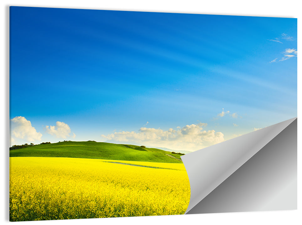 Rapeseed Field and Rolling Hills Under Blue Sky Wall Art