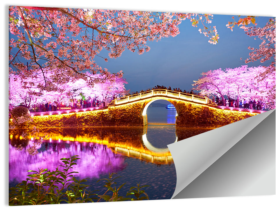Illuminated Cherry Blossom Bridge Wall Art