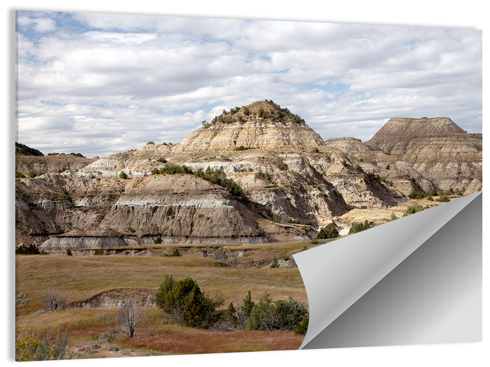 Theodore Roosevelt Badlands Vista Wall Art