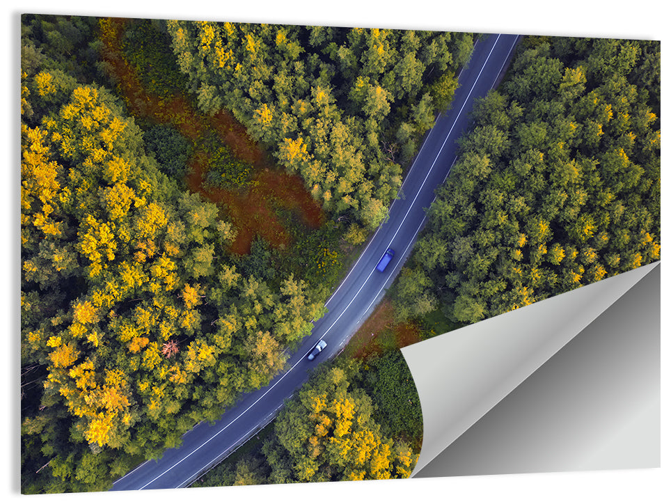 Aerial Autumn Forest Road Wall Art