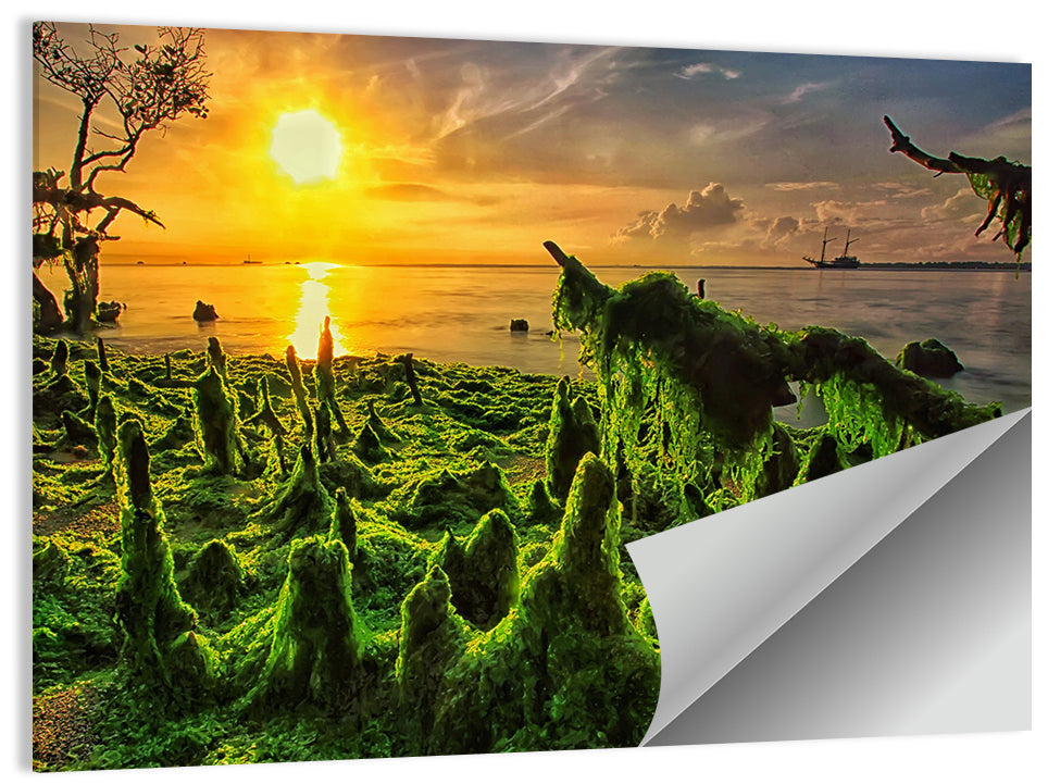 Mangrove Roots at Sunset Wall Art