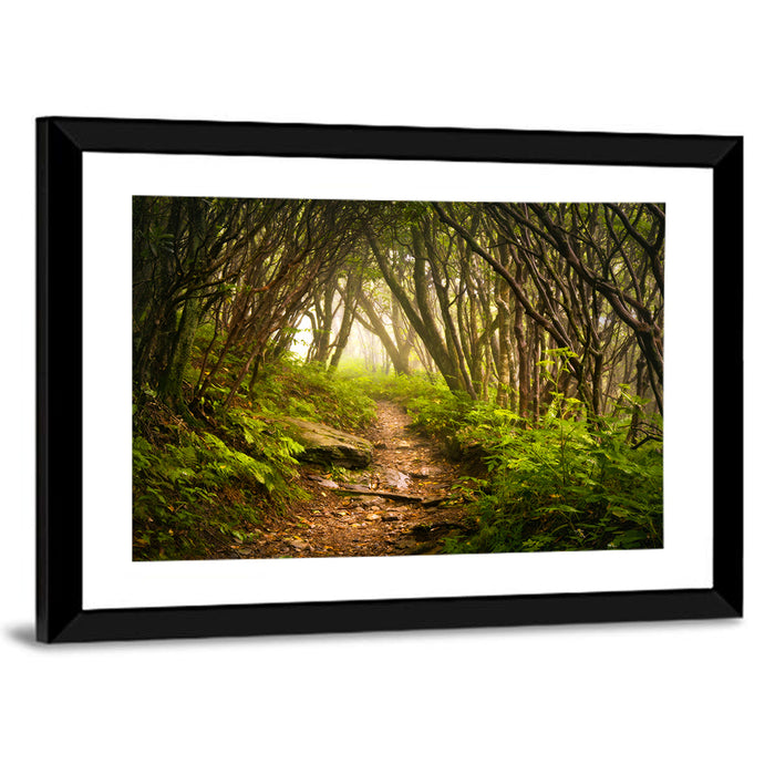 Craggy Gardens Hiking Trail Wall Art as a framed print