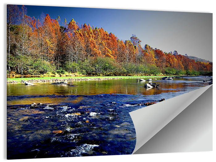 Beavers Bend State Park Wall Art as a poster print