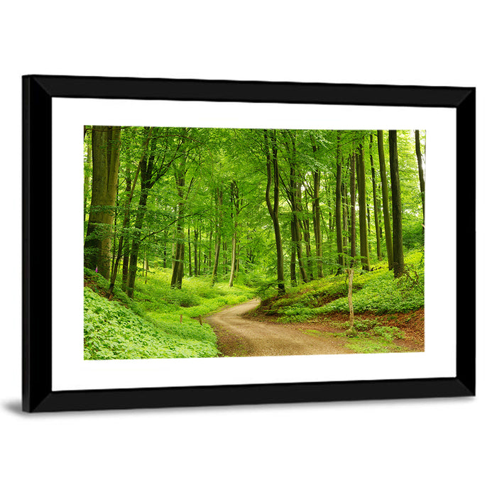 Sunlit Forest Path Wall Art as a framed print