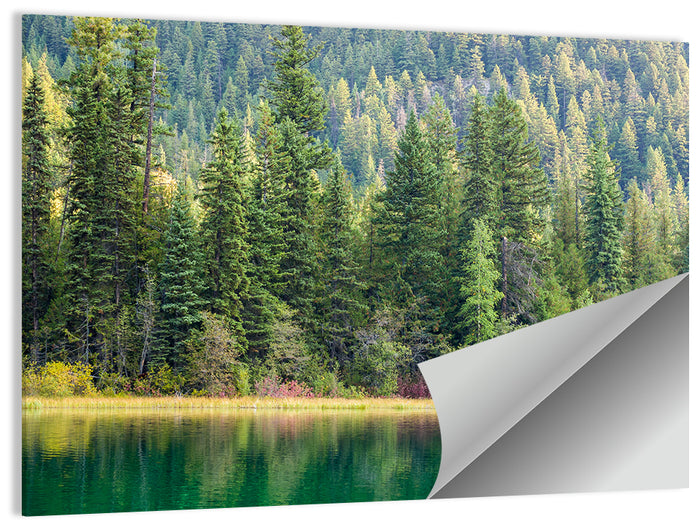Tranquil Forest Lake Wall Art as a poster print