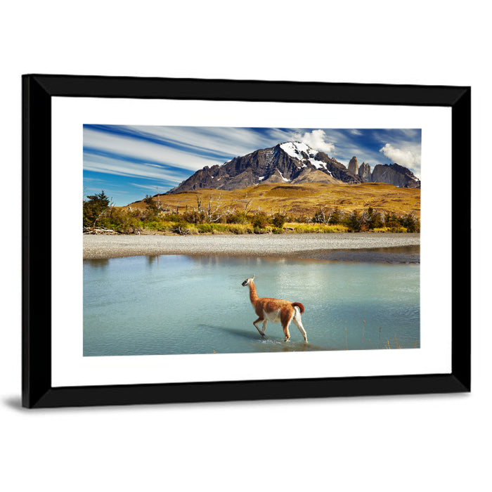 Torres Del Paine, Patagonia Wall Art as a framed print